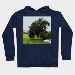 Old Cork Oak Tree Meadow Hoodie